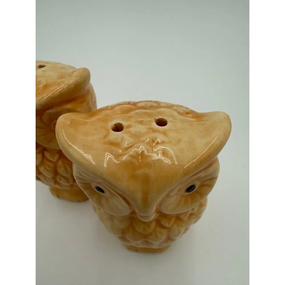 1970's Ceramic Owl Salt & Pepper Shakers Set